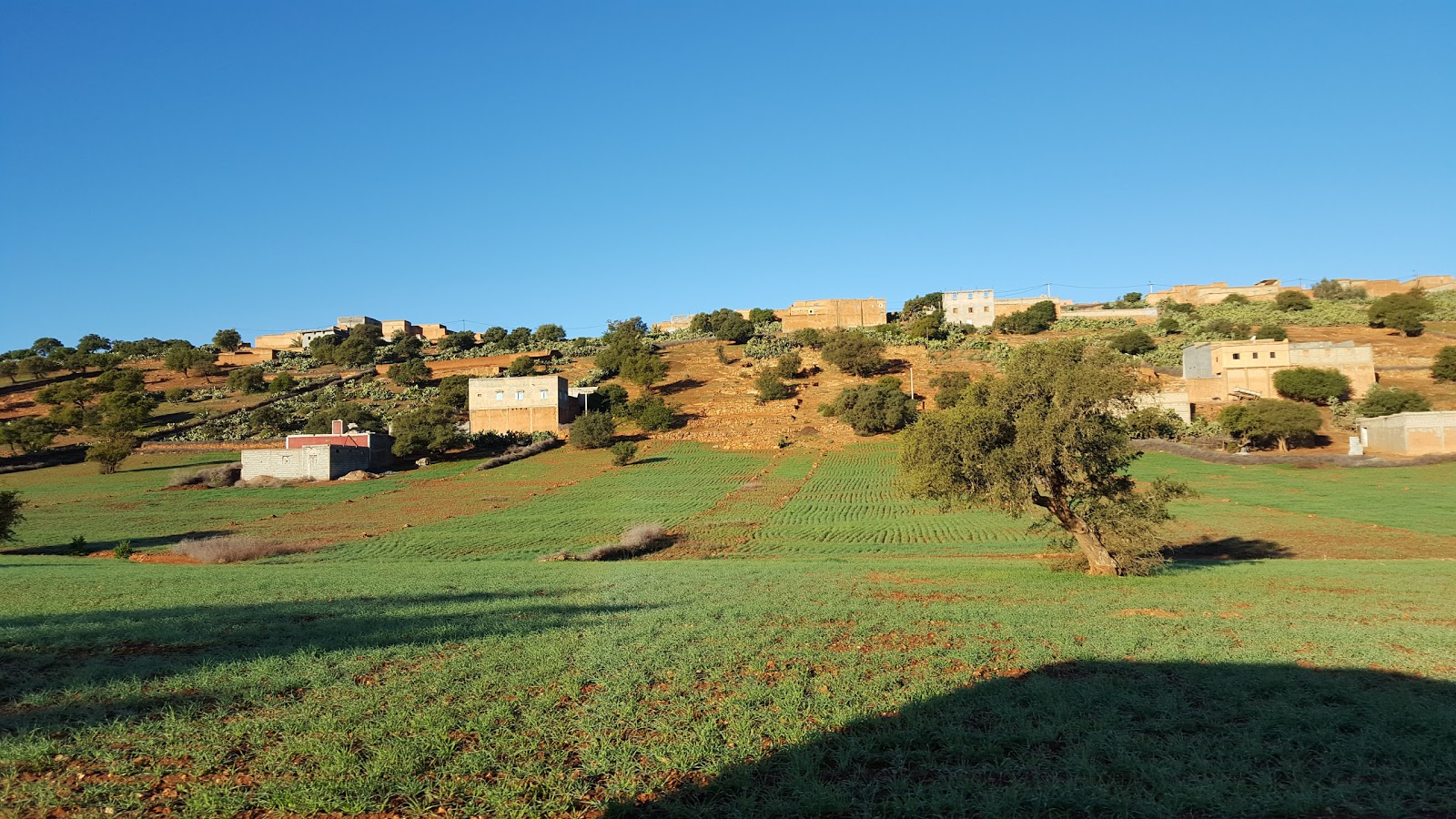 Association Doutourirte Abakarim Abdellah - Doutourirte