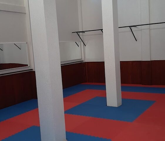 Association ElMohammadi de Taekwondo-جمعية المحمدي للتايكوندو - Safi - +212 665-961878