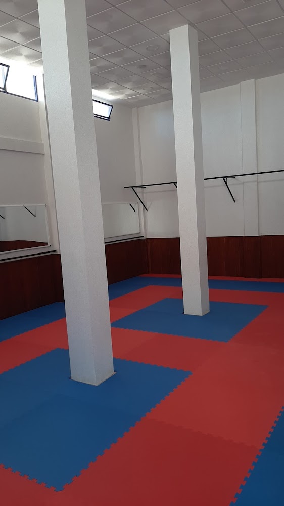 Association ElMohammadi de Taekwondo-جمعية المحمدي للتايكوندو - Safi