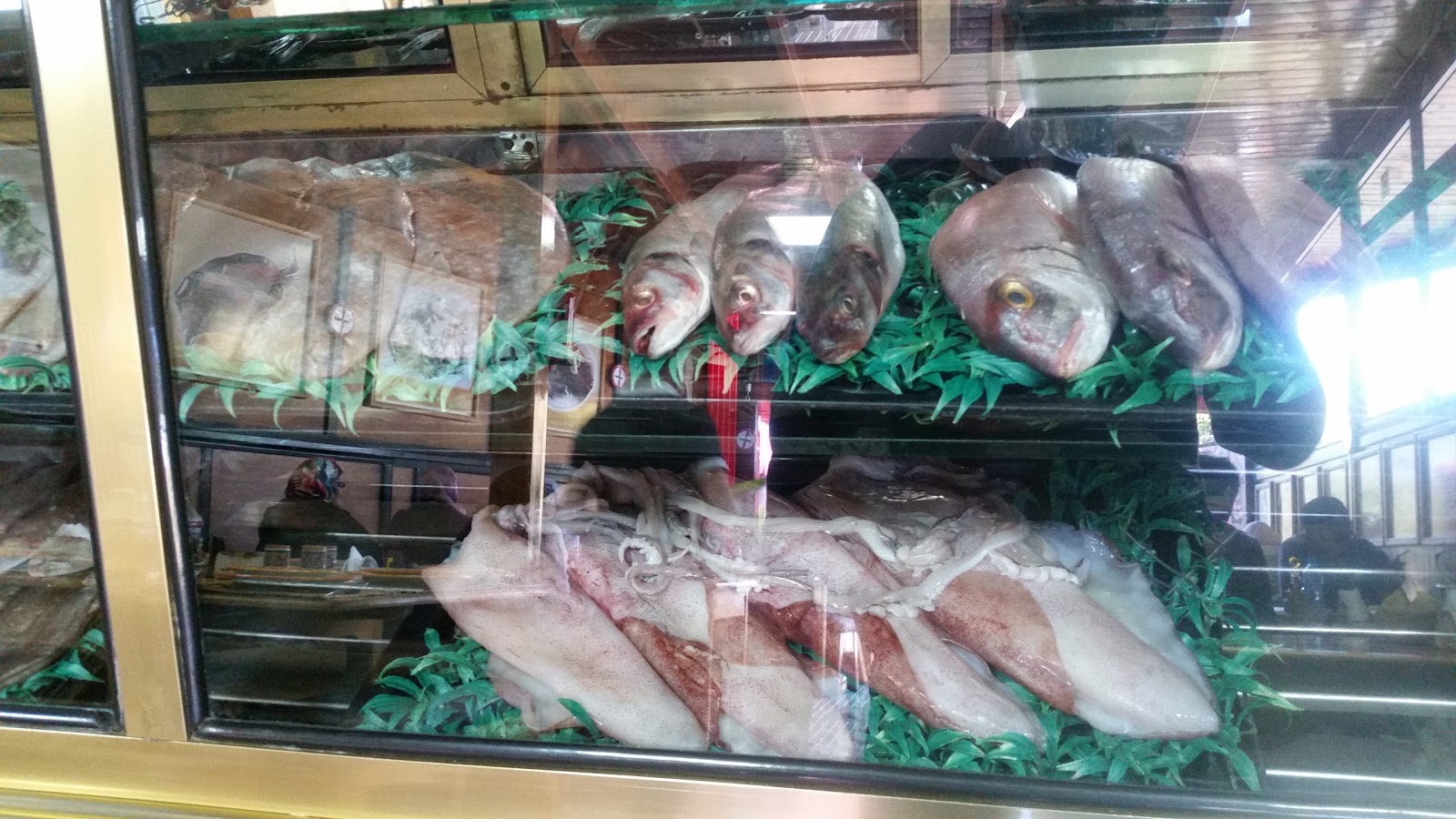 Le filet du pêcheur numéro 17