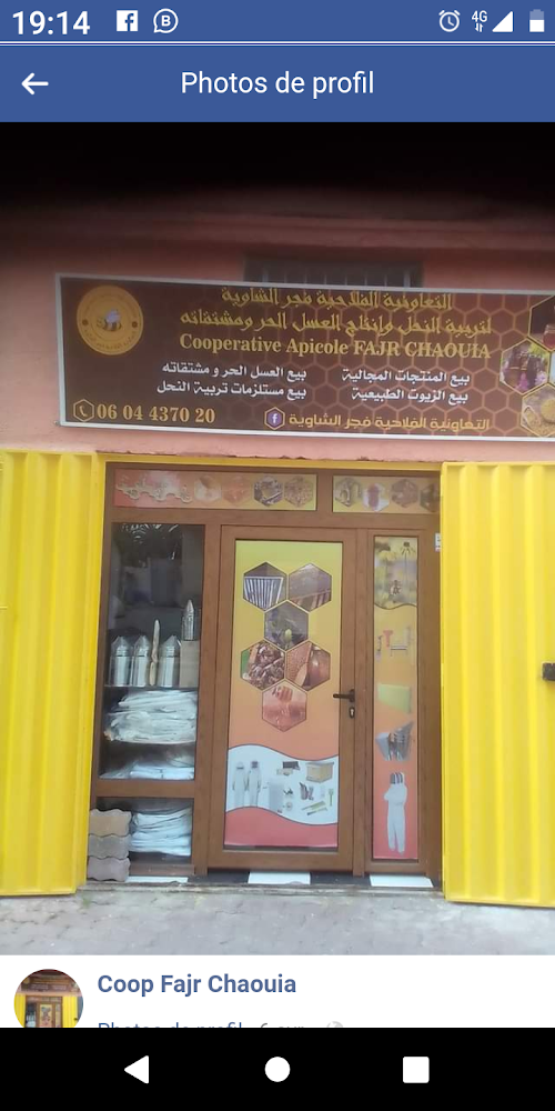 cooperative fajr chaouia
