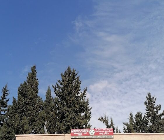 Association Regionale Des Guides De Tourisme Marrakech Safi - Marrakech - +212 661-618021