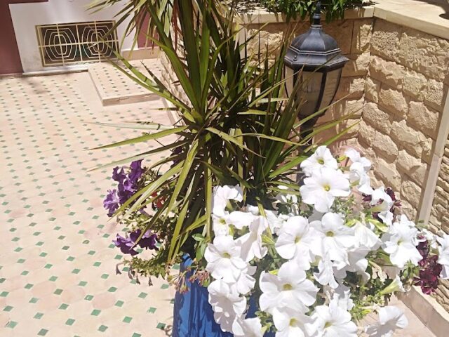 Boucherie Houat Aliment - Taroudant -