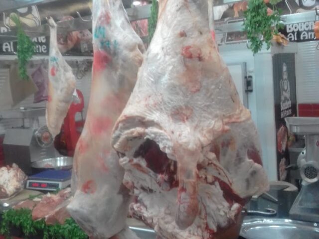Boucherie Al Amine - Kénitra - +212 628-688276