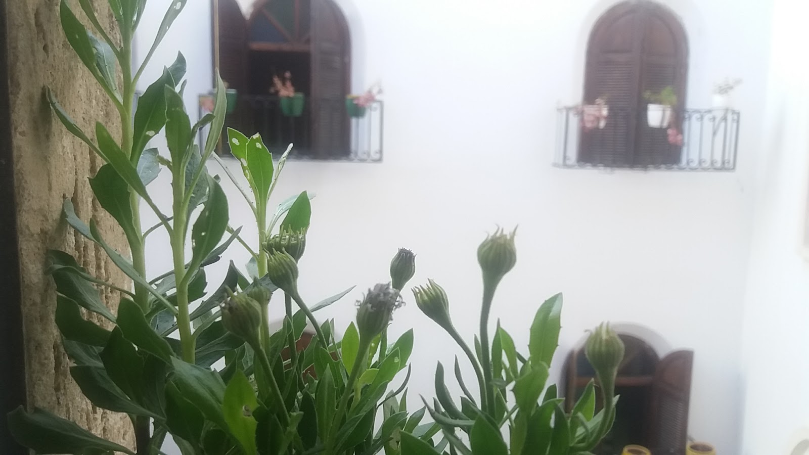 جمعية درادب عين حياني (لطلب الحلويات) Association Dradeb Ain Hayani - Tanger