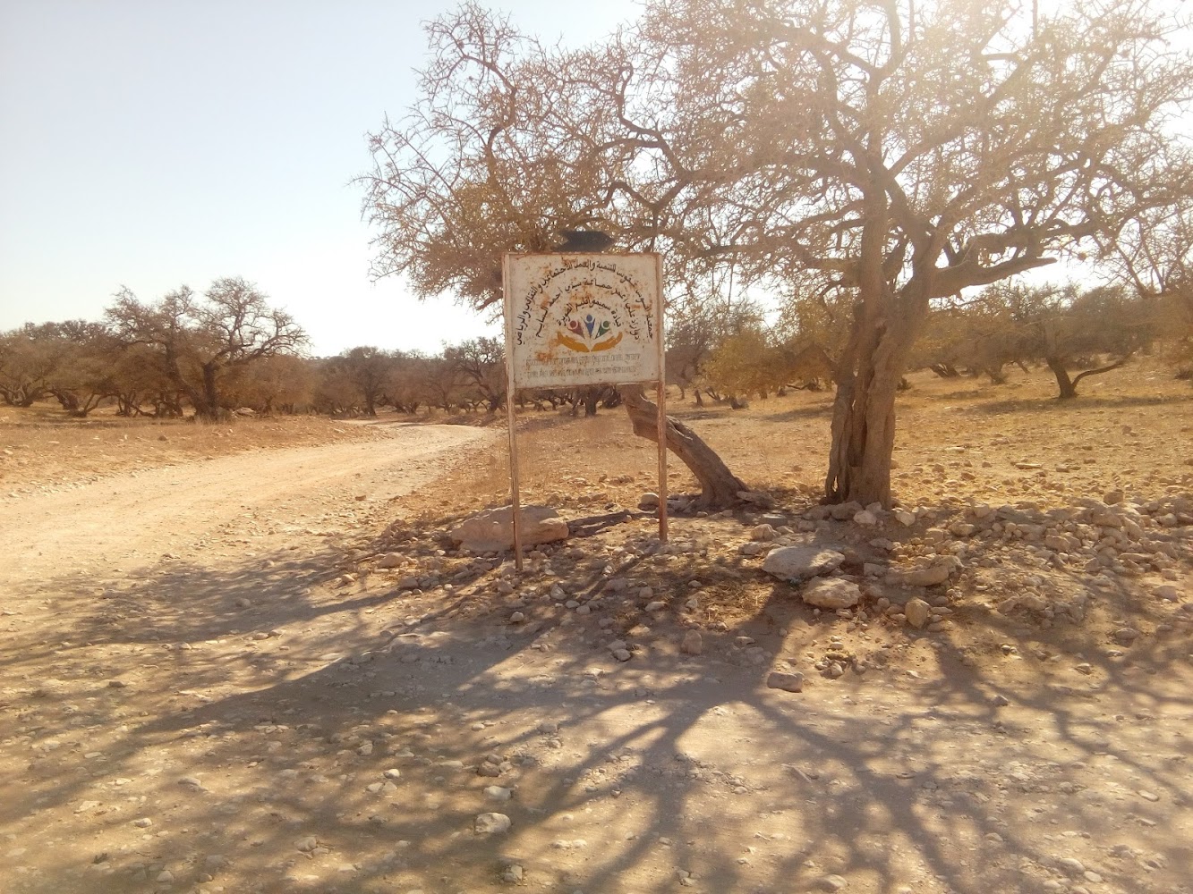 افوس غو فوس association