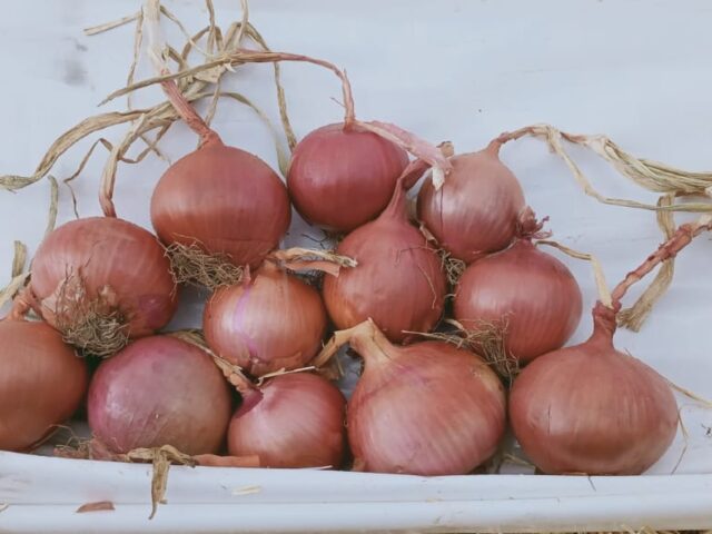 Biovlees Ilyas - Fès - +212 5356-56829