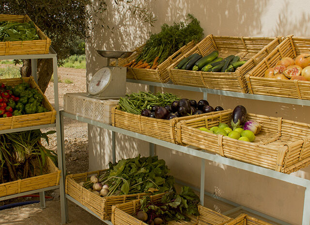 Akemrane - Taroudant - +212 618-720029