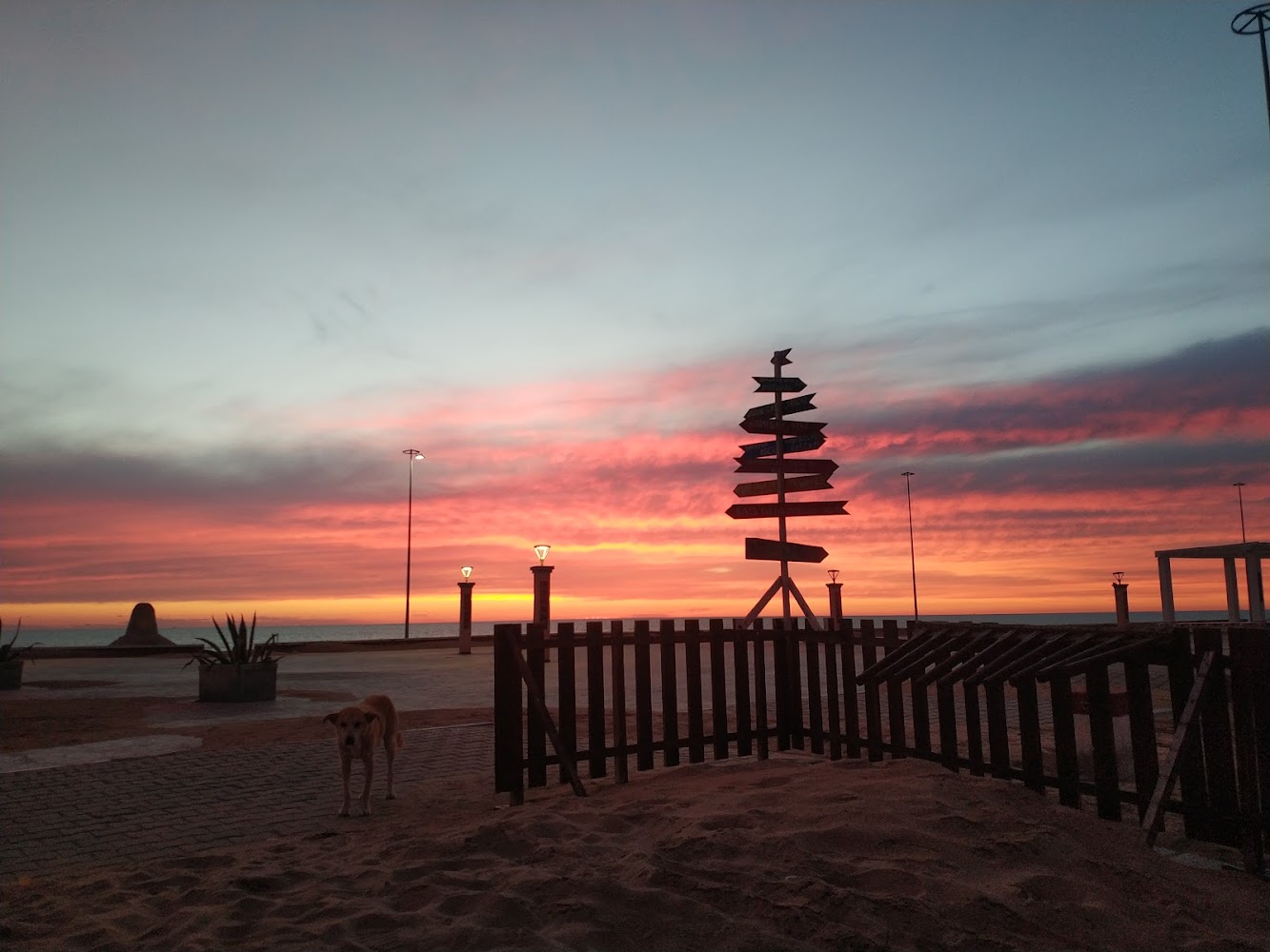 École De Surf & Bodyboard (Association Surf Larache) - Larache