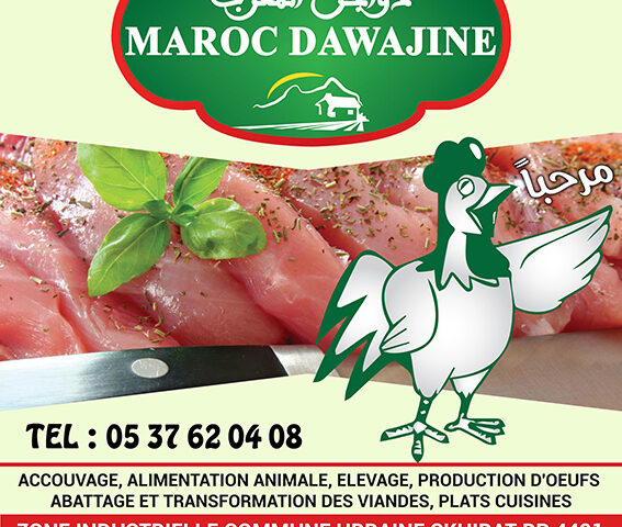 DAWAJINE VIANDES - Skhirat - +212 5376-20408