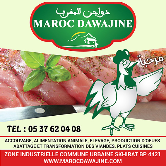 DAWAJINE VIANDES  - Skhirat