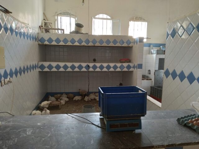 Coq Soukiana دجاج سوكينة - Fès -