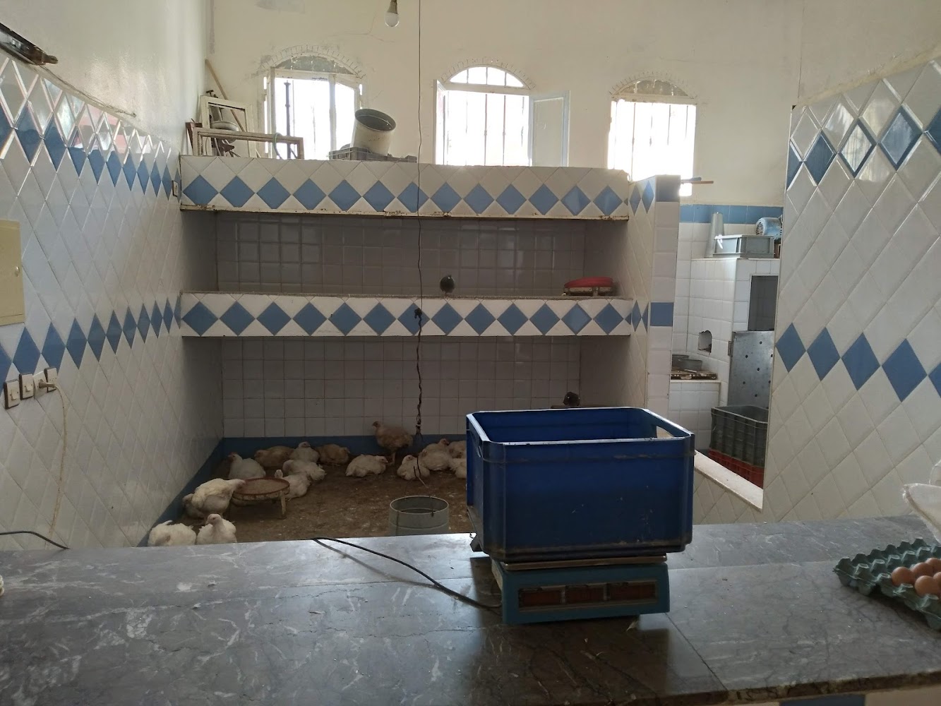 Coq Soukiana دجاج سوكينة