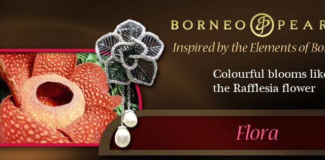 Borneo pearls maroc - Témara - +212 671-652160