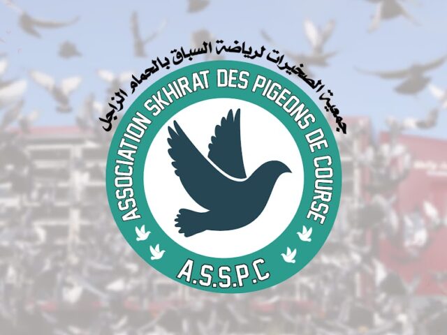 Association Skhirat Sportive des Pigeons de Course - Skhirat - +212 671-248333