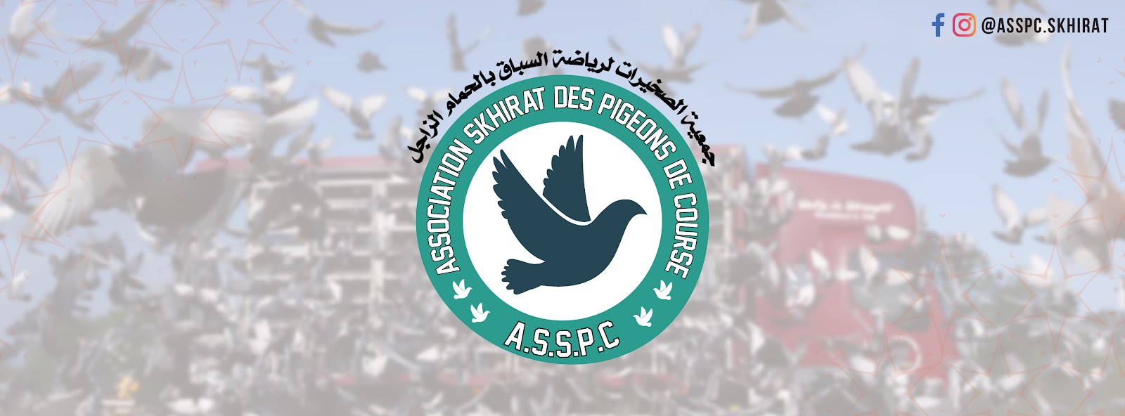 Association Skhirat Sportive des Pigeons de Course - Skhirat