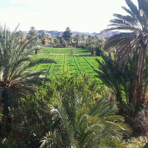 Association tamassinte - Ouarzazate -