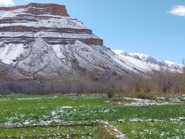 Association Massinissa AMDCS -  -