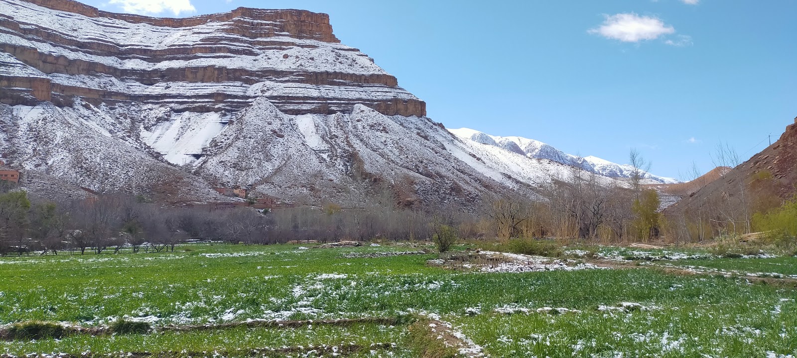 Association Massinissa AMDCS