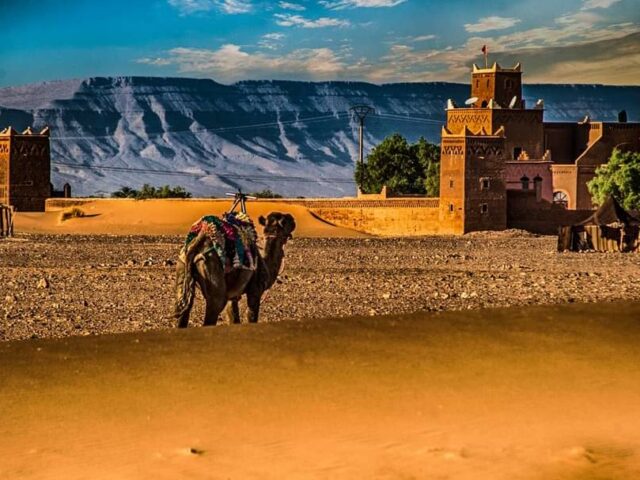 MIODYCA TOURS MAROC - Bouznika - +212 611-982950