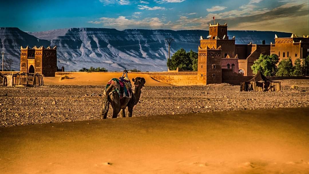 MIODYCA TOURS MAROC - Bouznika