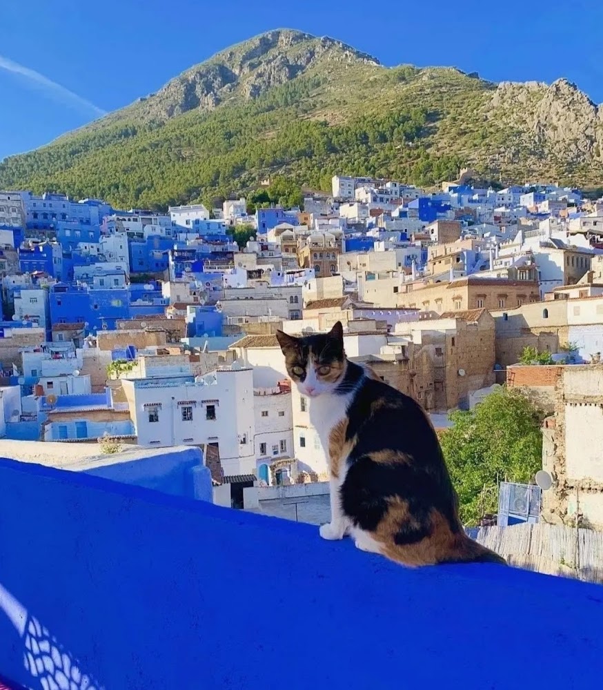 Hotel Aymane ROOFTOP - Chefchaouen