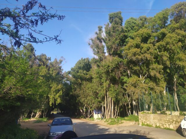 Avenue Allal Ben Abdeallah - Salé -