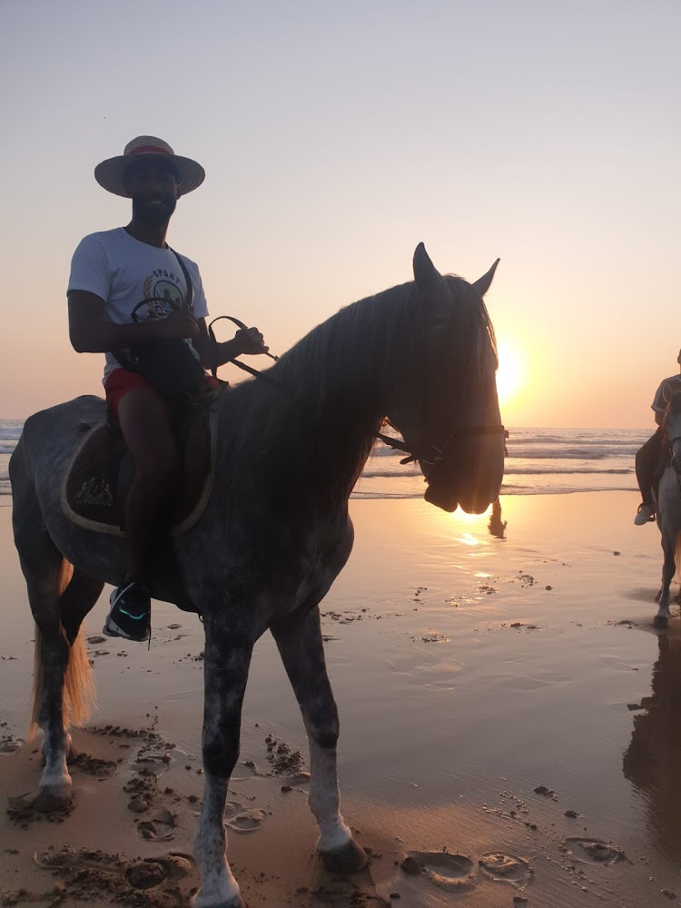 Cheval Agadir Ranch Acienda - Agadir