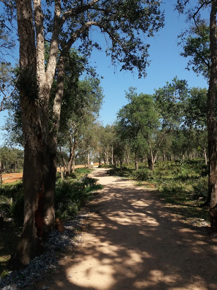 Tamesna Forest - Sport And Family Place - Témara