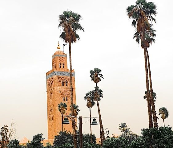 Ben allou photoghaphe - Ben Yakhlef -