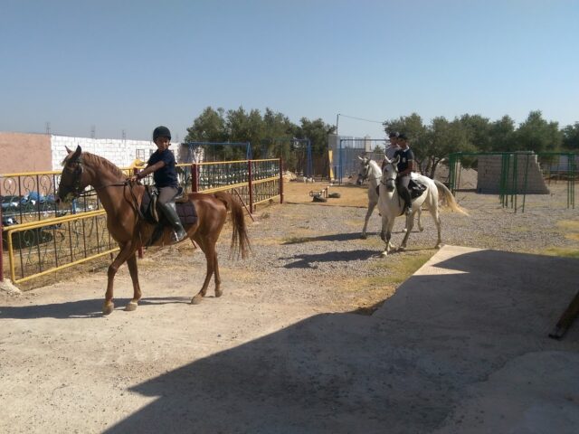 Club Aladarissa D'équitation - Ain Chqef - +212 661-359226