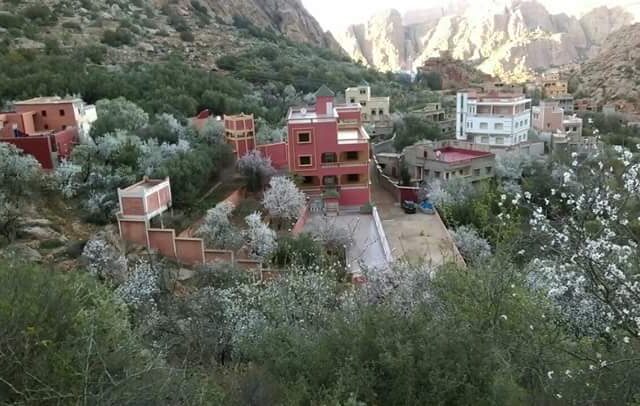 Grass playground Alrostal - Salé -