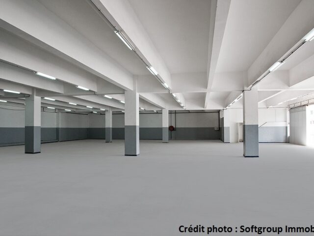 SOFTFACTORY - Casablanca -