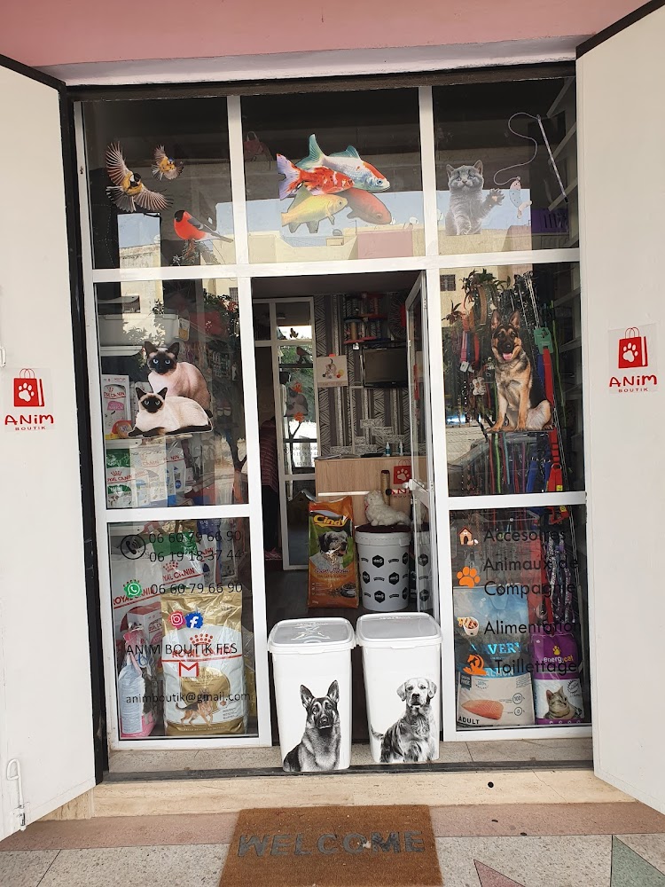 AnimBoutik Fes - Fès