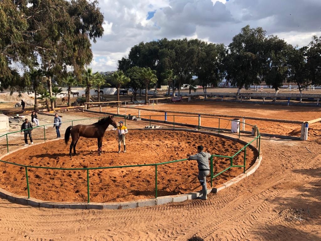ROYAL CLUB EQUESTRE ANFA - Casablanca