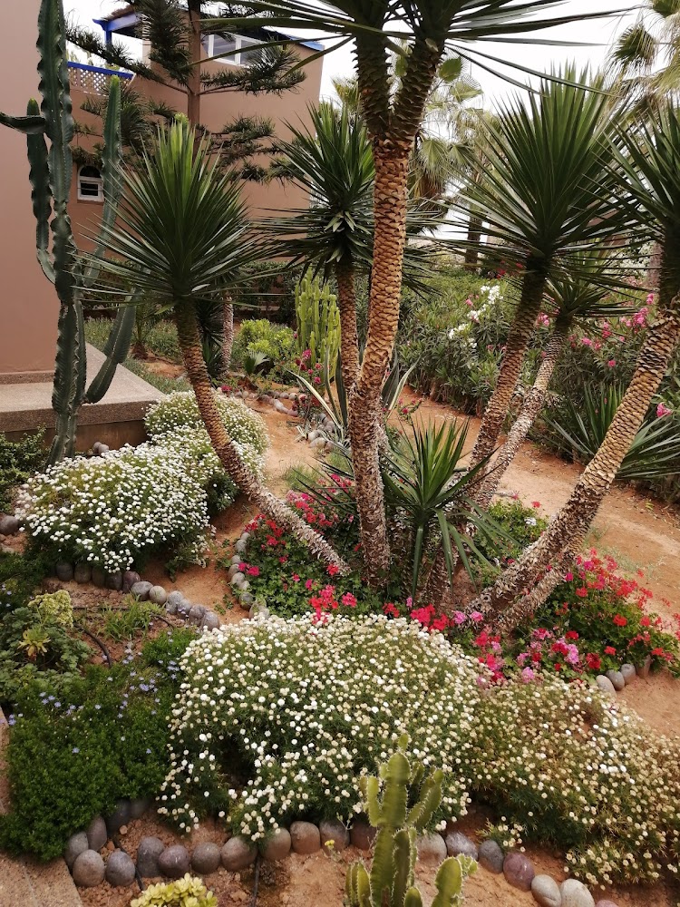 JARDIN EVASION - Mirleft