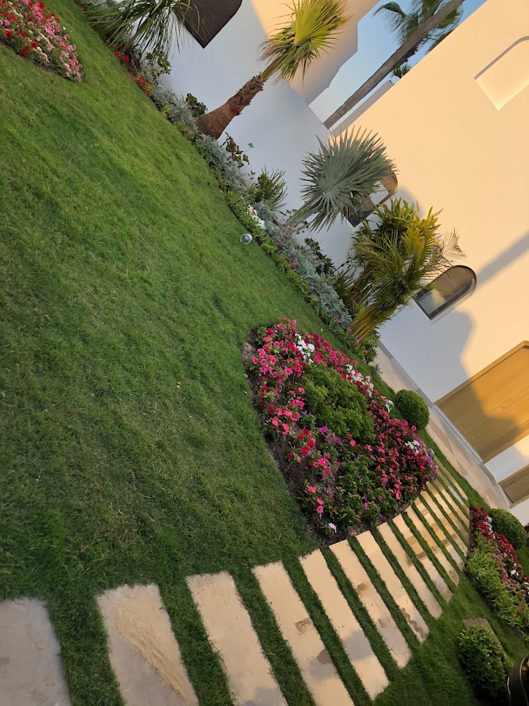 My Garden - Tanger