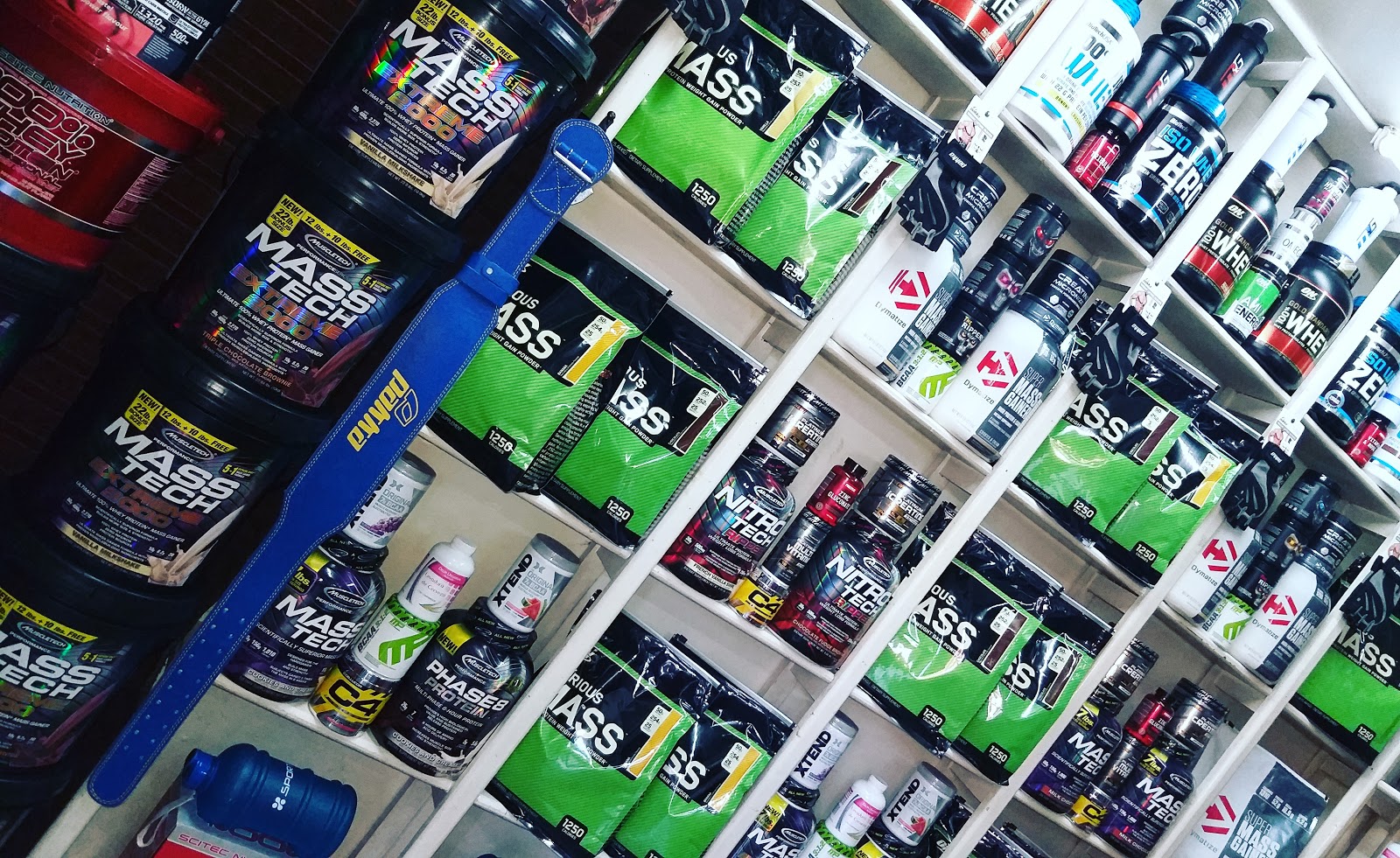 Protein Ait melloul - Aït Melloul