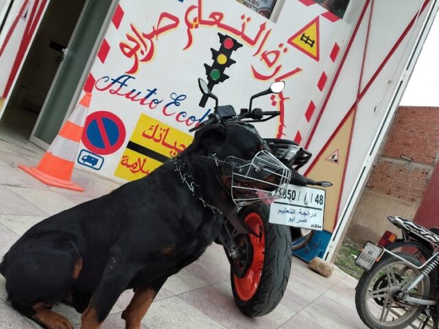 Auto ecole SARABO - Oujda - +212 655-080271