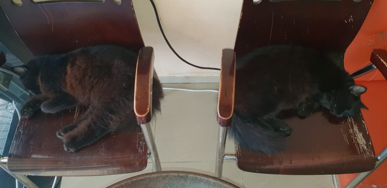 Photo Maxime - Salé