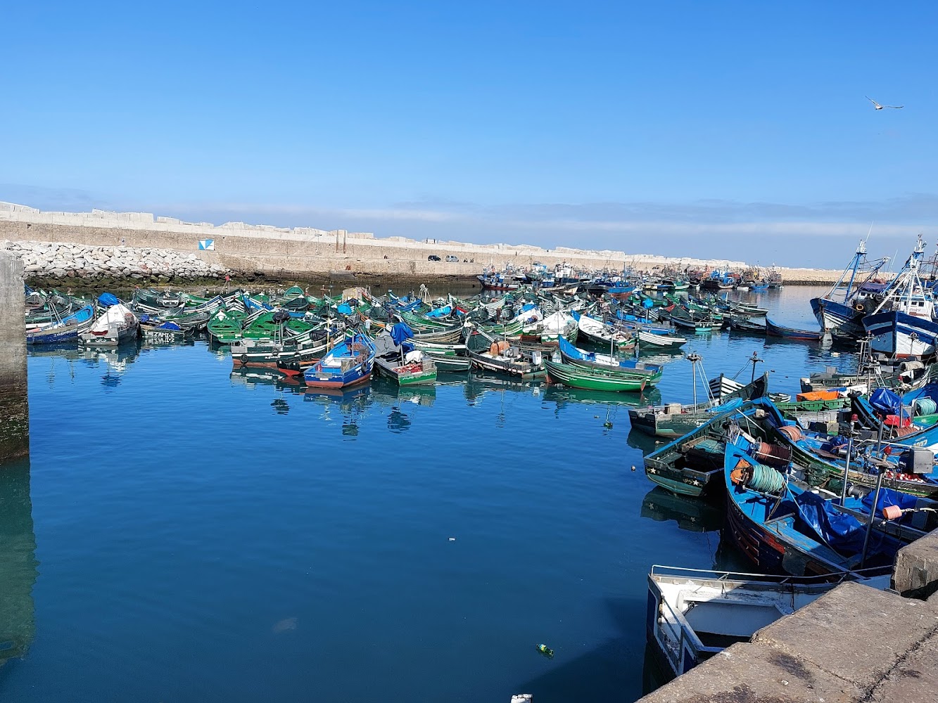 Port De Pêche De Safi. - Safi