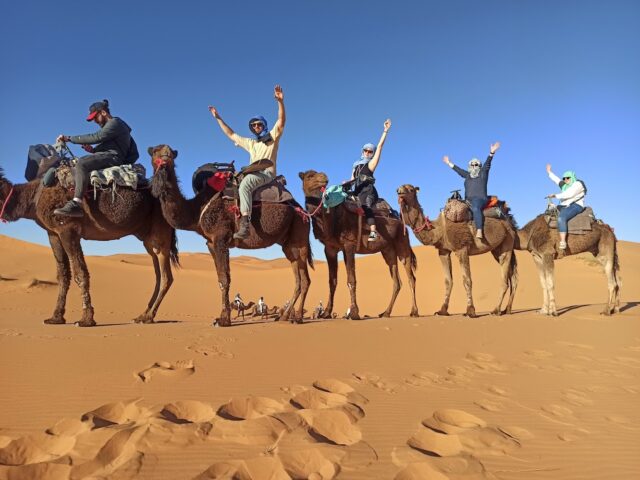 MARRAKESH TRAVEL SERVICES - Marrakech - +212 661-044503
