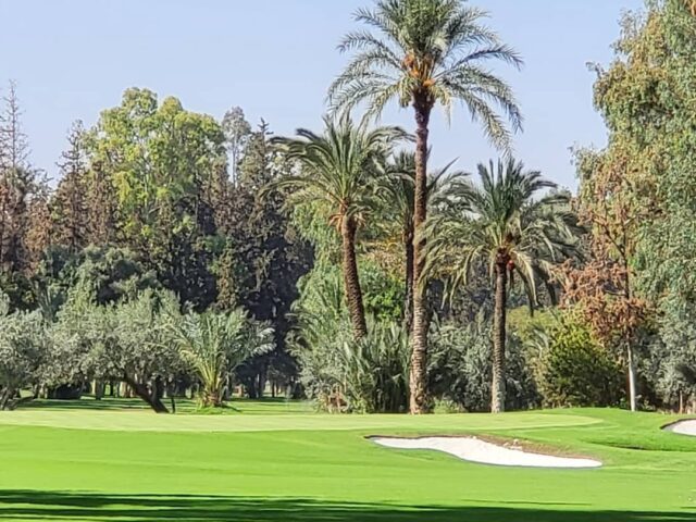 Royal Golf Marrakech - Marrakech - +212 5244-04705