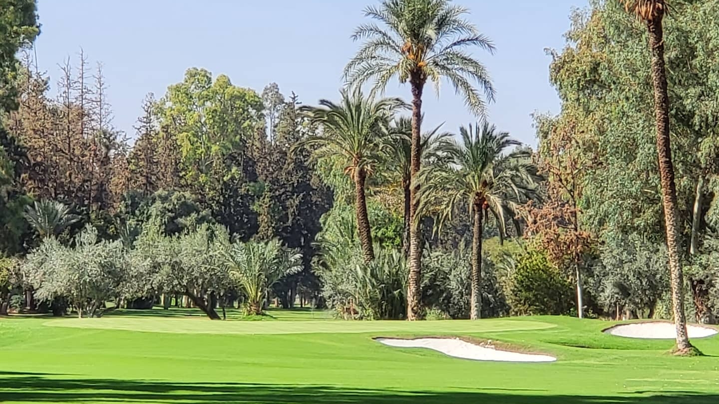 Royal Golf Marrakech - Marrakech