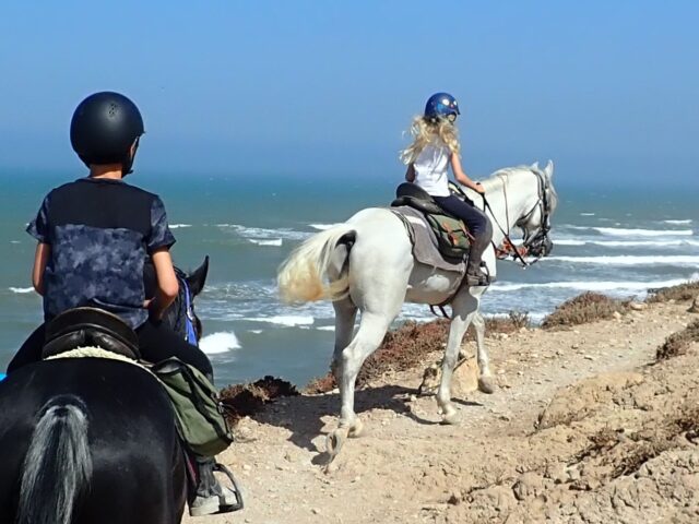 Amazir Cheval - Agadir - +212 624-520690