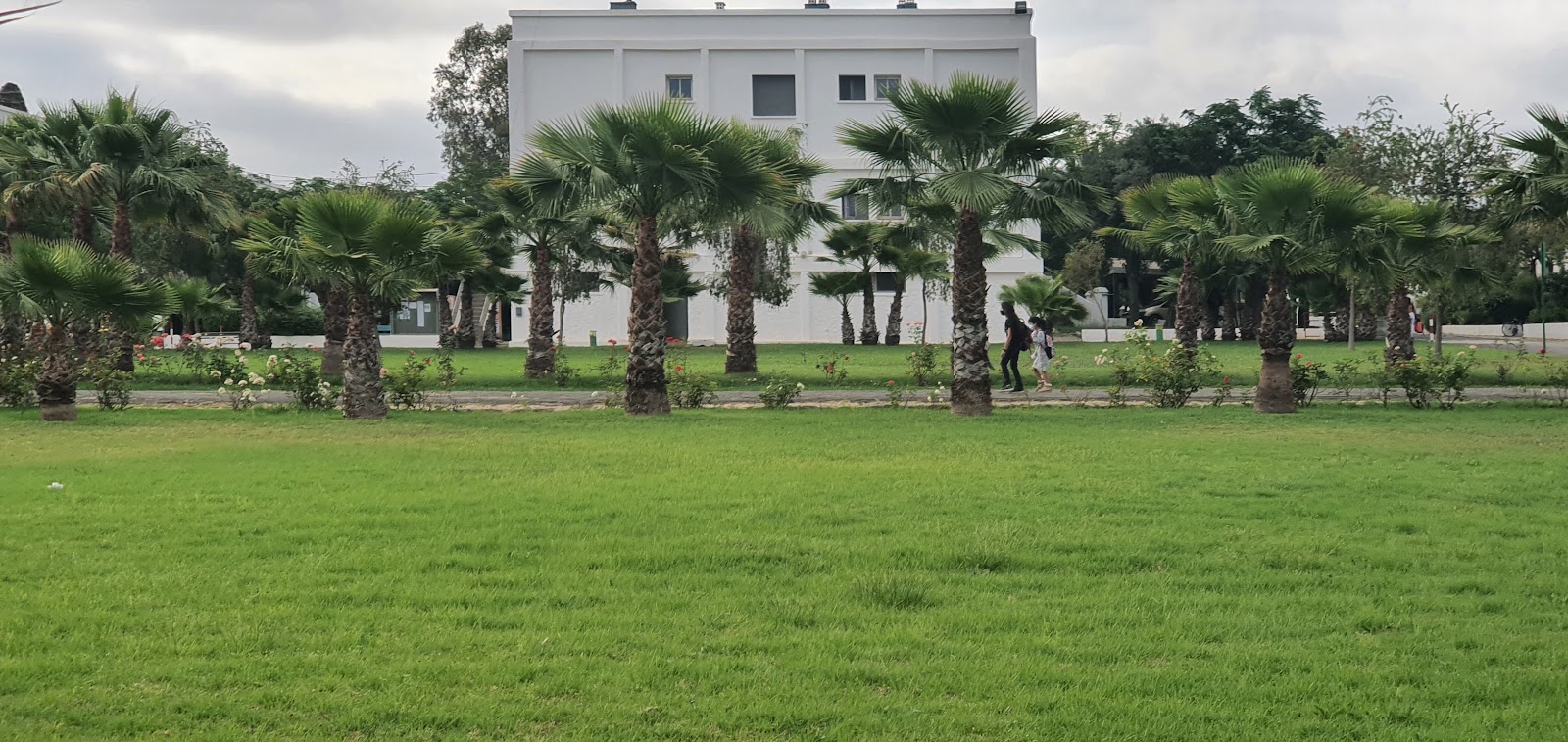 Lycée Paul Valery - Meknès