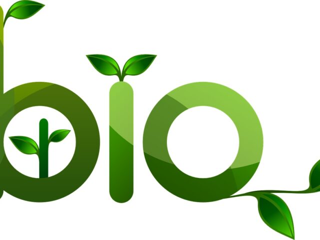 Natural bio - El Jadida - +212 699-244634