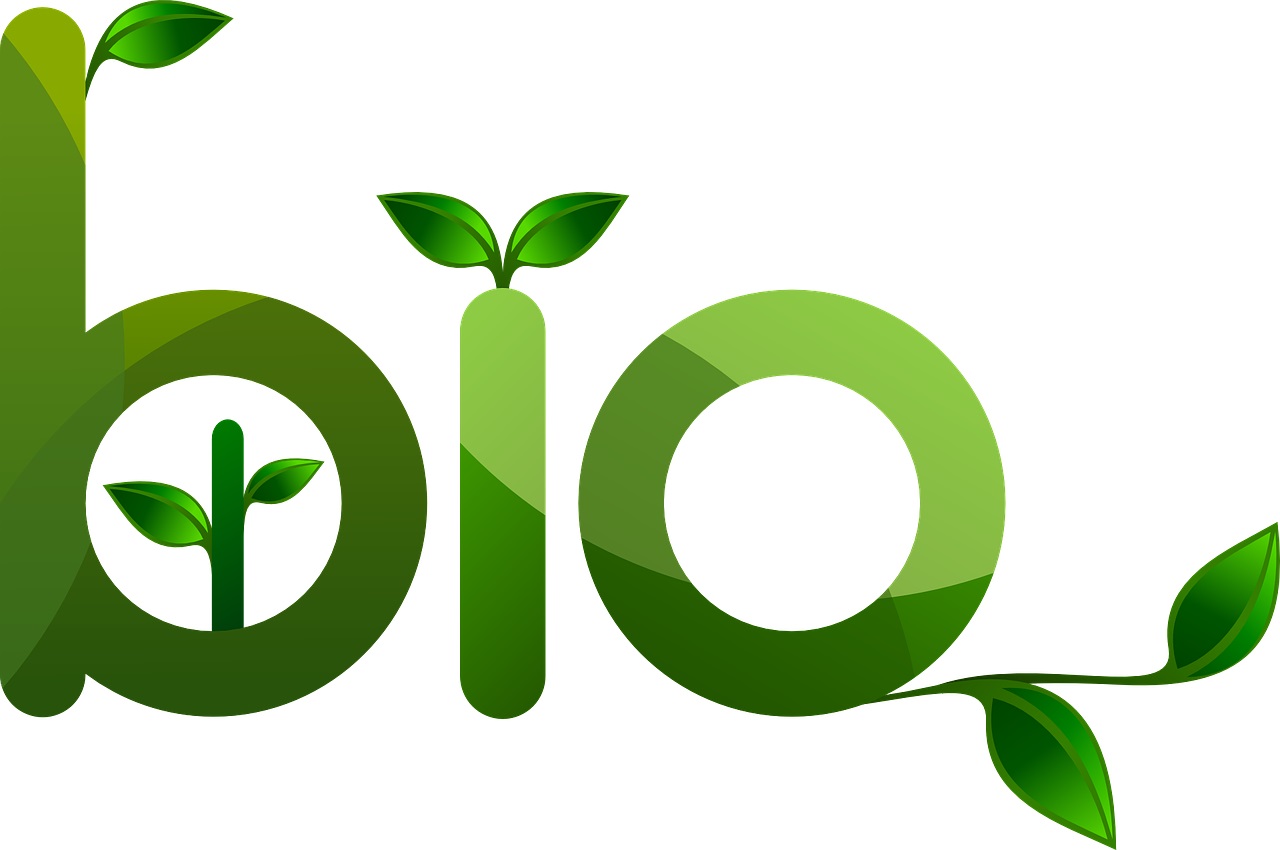 Natural bio - El Jadida