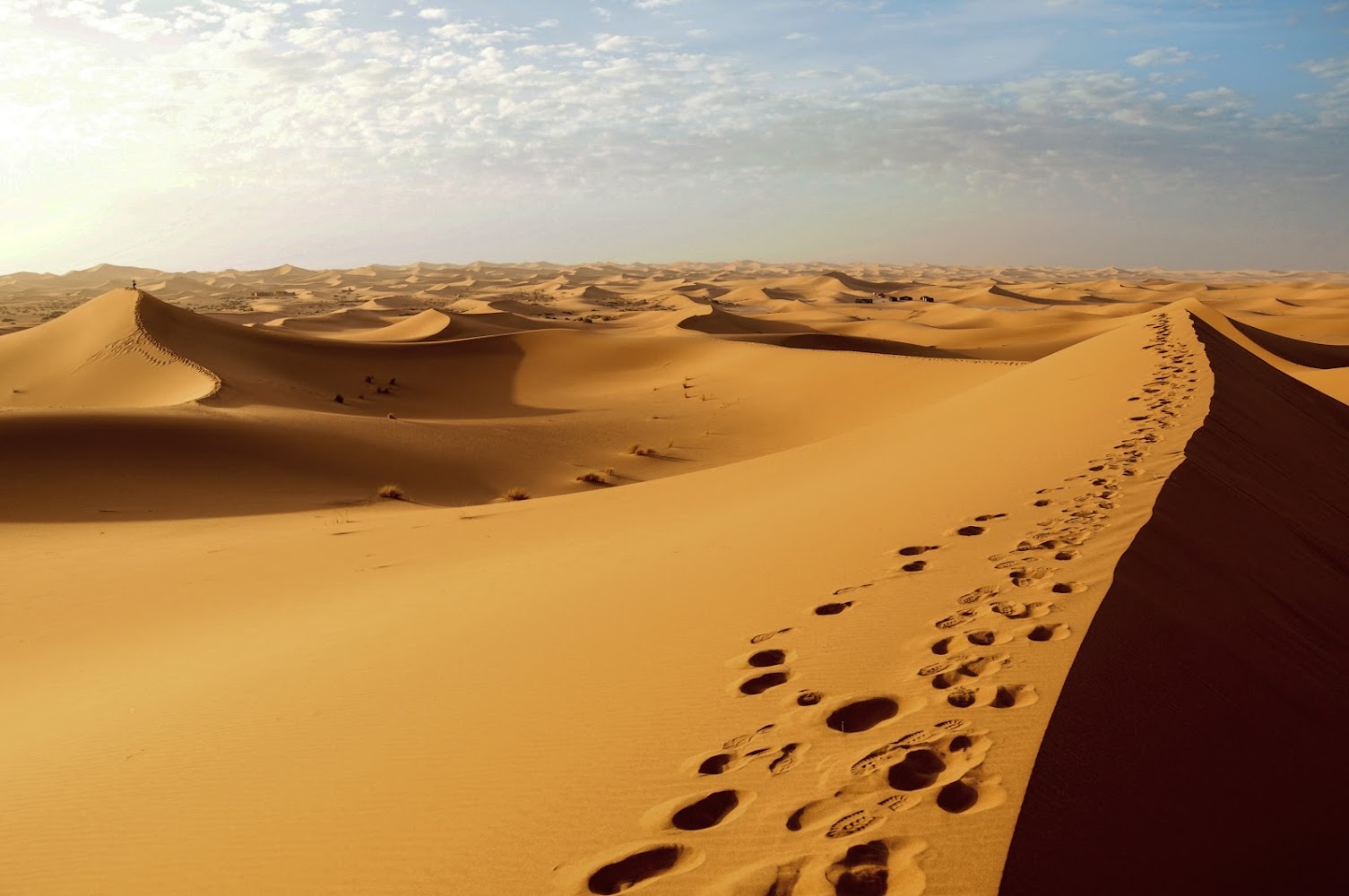 ACACIA VOYAGES - Zagora