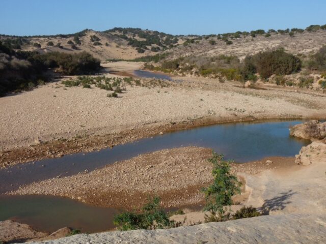 Ecotourisme et Randonnées - Essaouira - +212 662-616678